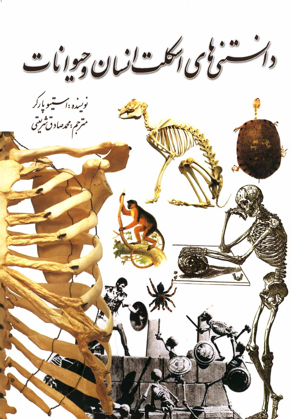 پایانه - دانستنی های اسکلت انسان و حیوانات