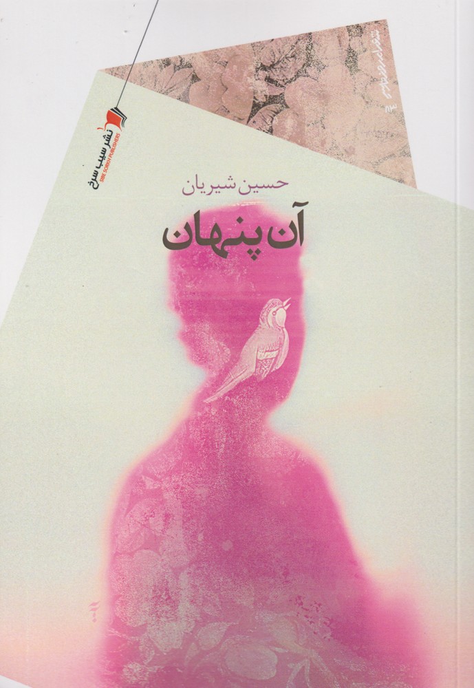 پایانه - آن پنهان