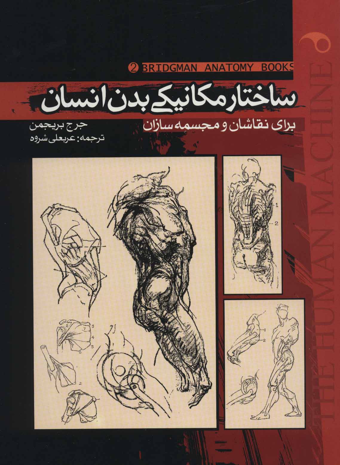 پایانه - ساختار مکانیکی بدن انسان 2