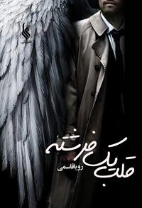 پایانه - قلب یک فرشته