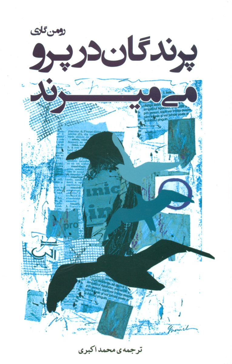 پایانه - پرندگان در پرو می میرند