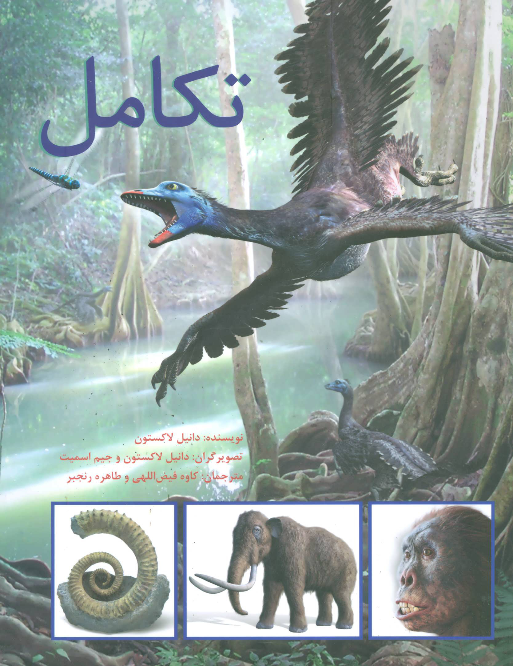 پایانه - تکامل