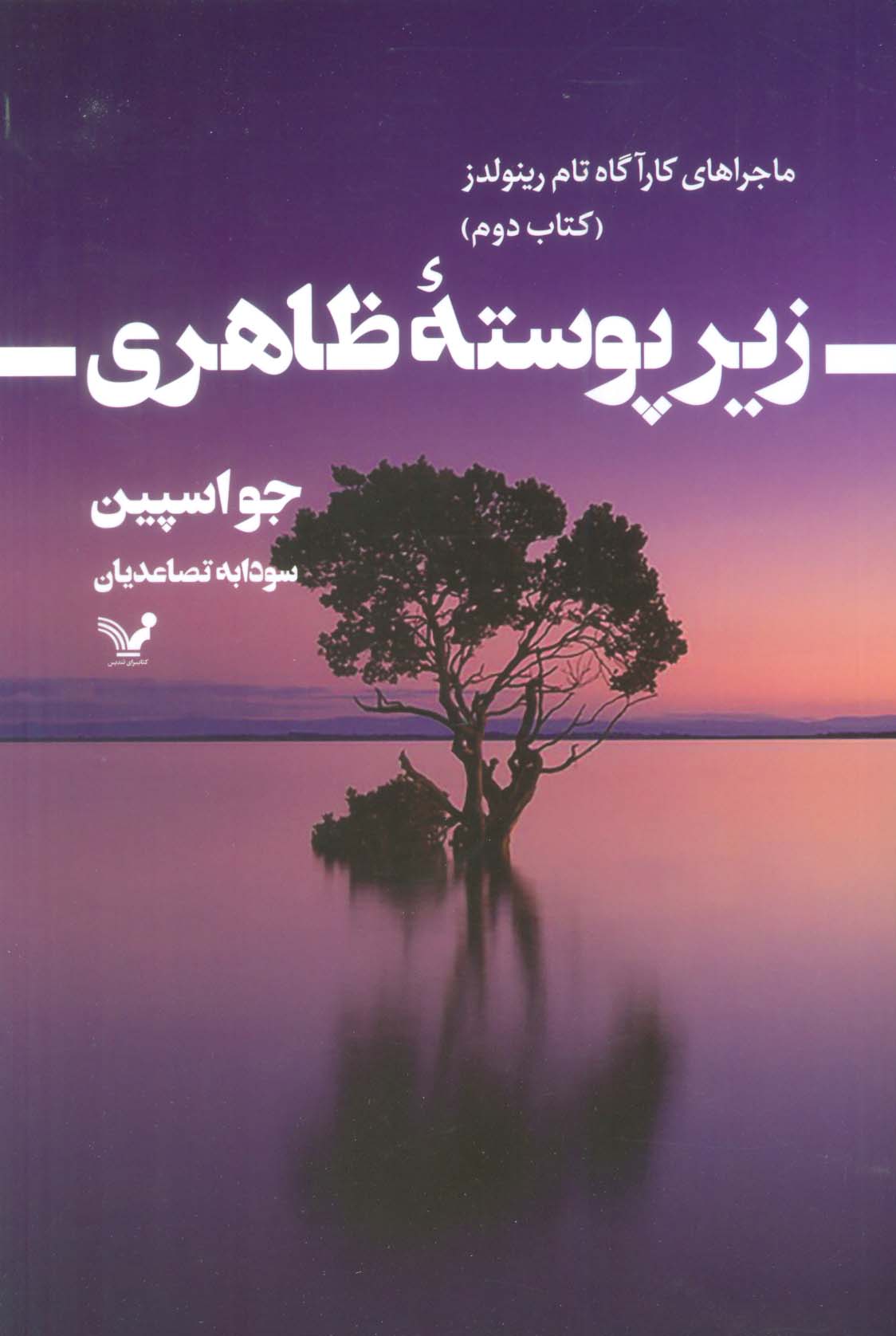 پایانه - زیر پوسته ظاهری