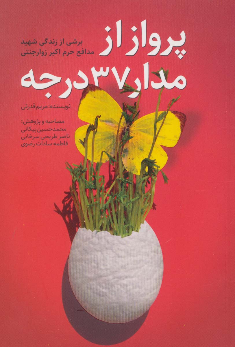 پایانه - پرواز از مدار 37 درجه