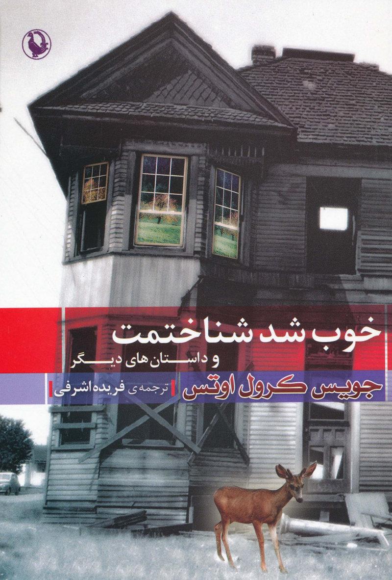 پایانه - خوب شد شناختمت و داستان های دیگر