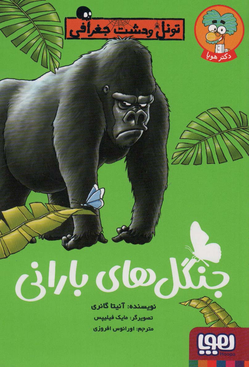 پایانه - جنگل های بارانی