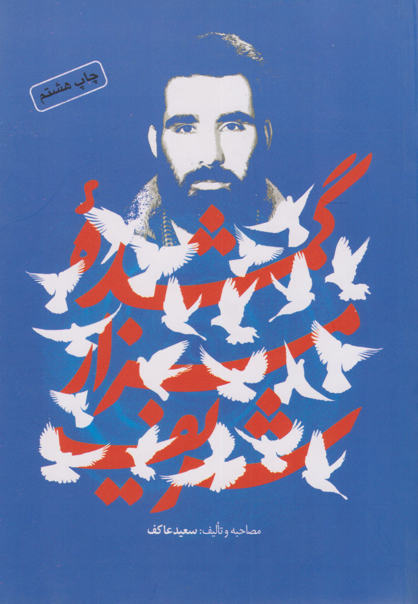 پایانه - گمشده مزار شریف