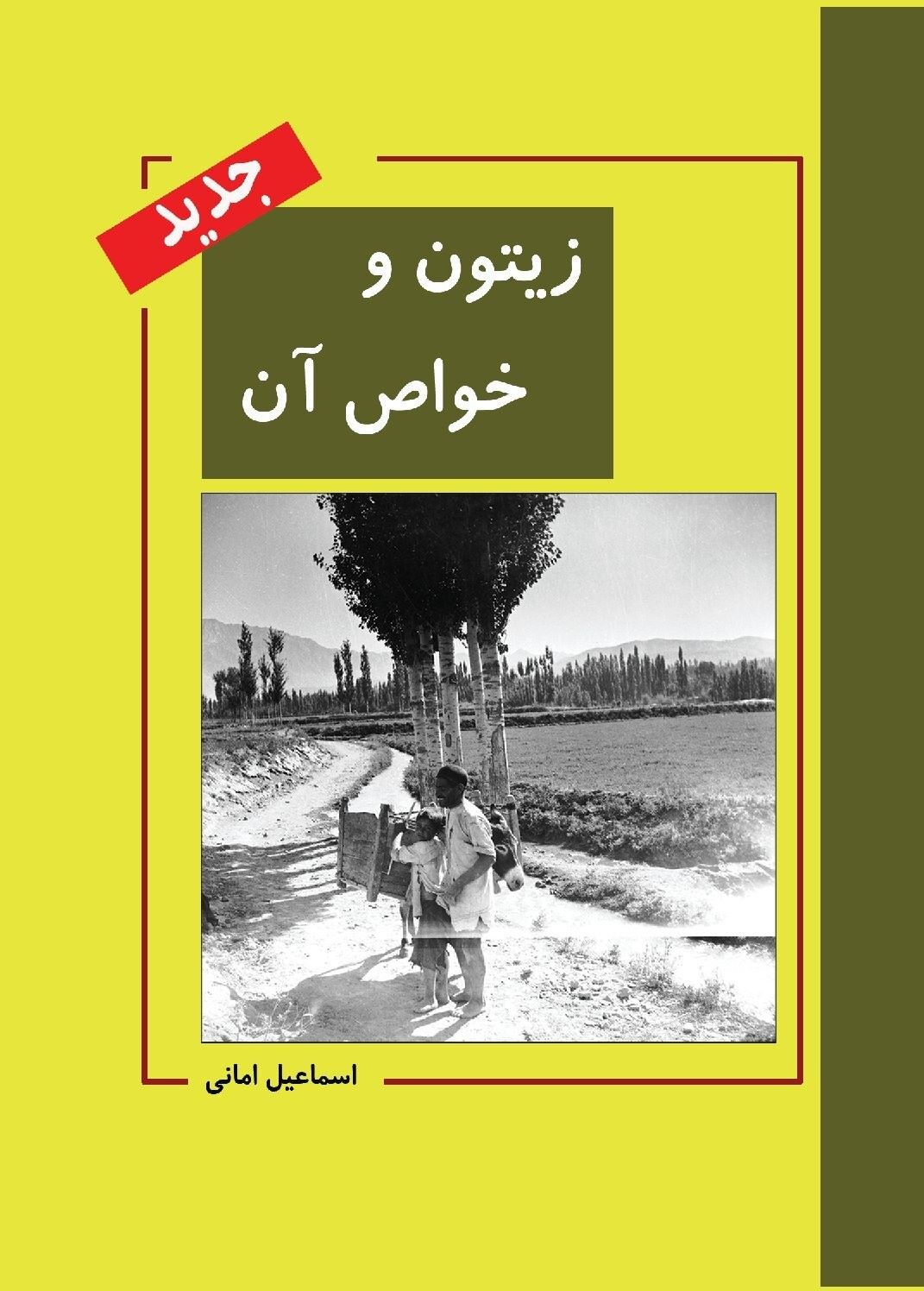 پایانه - زیتون و خواص آن