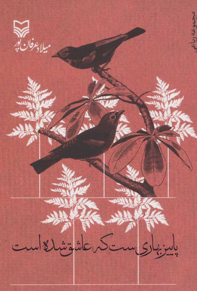 پایانه - پاییز بهاری ست که عاشق شده است