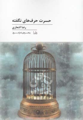 پایانه - حسرت حرف های نگفته