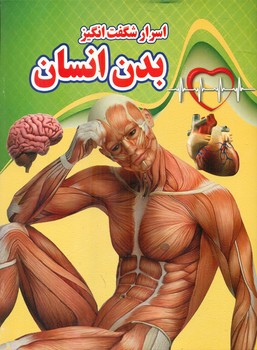 پایانه - اسرار شگفت انگیز بدن انسان