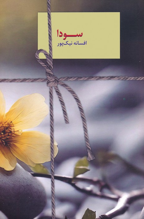 پایانه - سودا