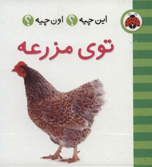 پایانه - توی مزرعه