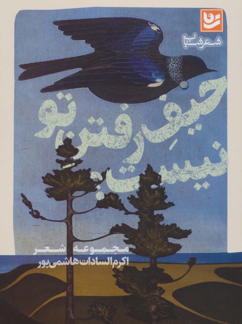 پایانه - حیف رفتن تو نیست؟