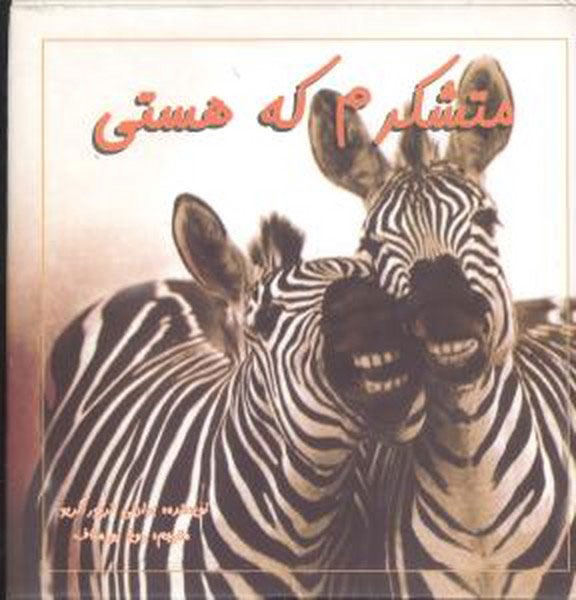 پایانه - متشکرم که هستی