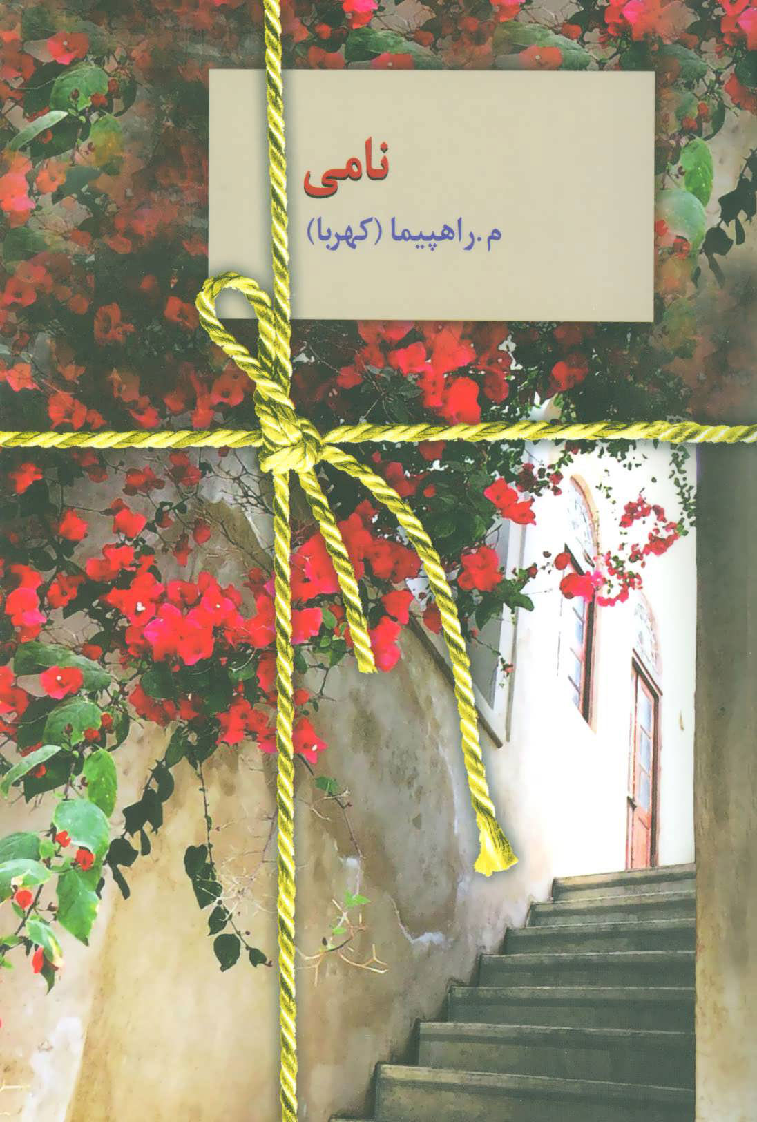 پایانه - نامی