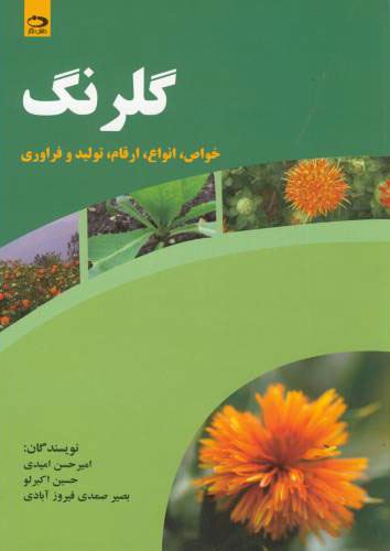 پایانه - گلرنگ