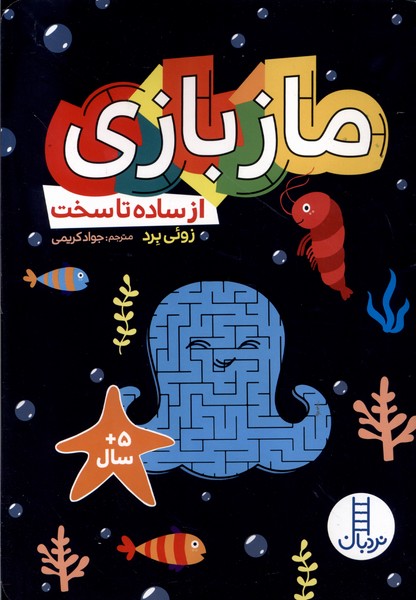 پایانه - ماز بازی