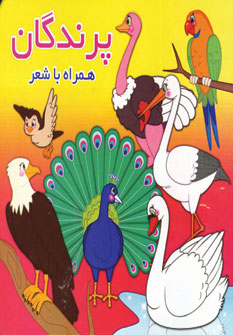 پایانه - پرندگان