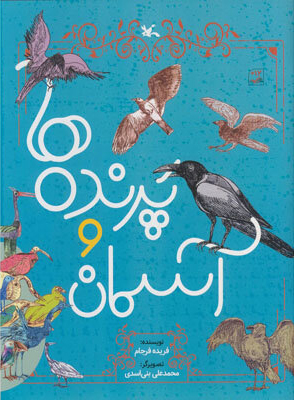 پایانه - پرنده ها و آسمان