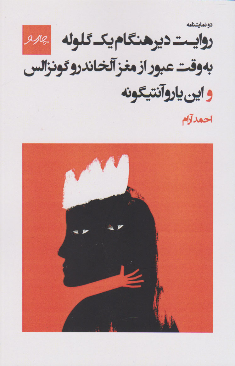 پایانه - روایت دیرهنگام یک گلوله به وقت عبور از مغز آلخاندرو گونزالس و این یارو آنتیگونه