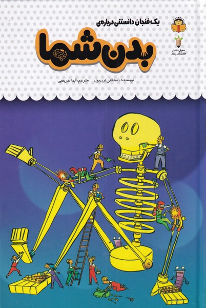 پایانه - یک فنجان دانستنی درباره ی بدن شما