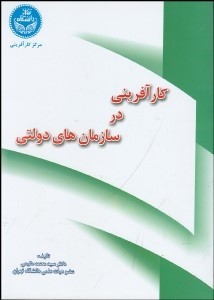 پایانه - کارآفرینی در سازمان های دولتی