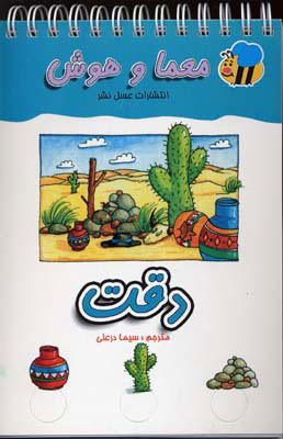 پایانه - دقت