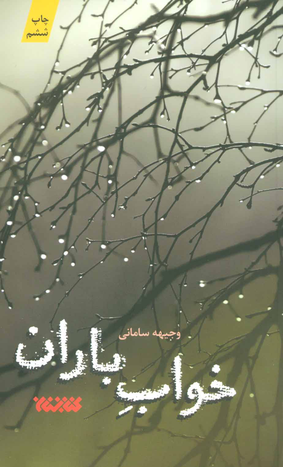 پایانه - خواب باران