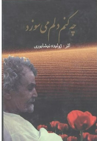 پایانه - چه کنم دلم می سوزد