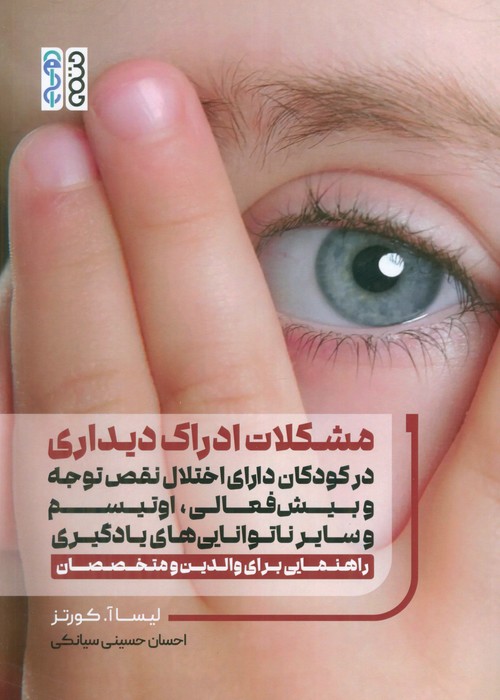 پایانه - مشکلات ادراک دیداری