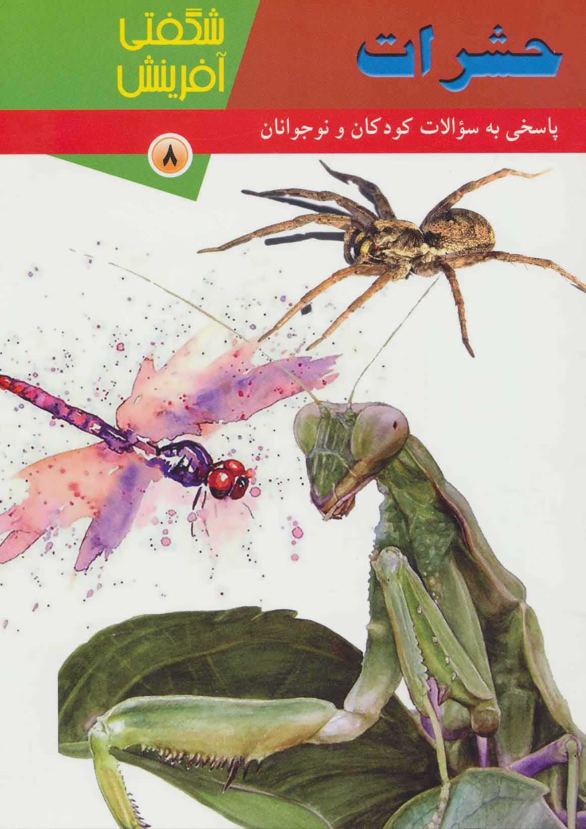 پایانه - حشرات