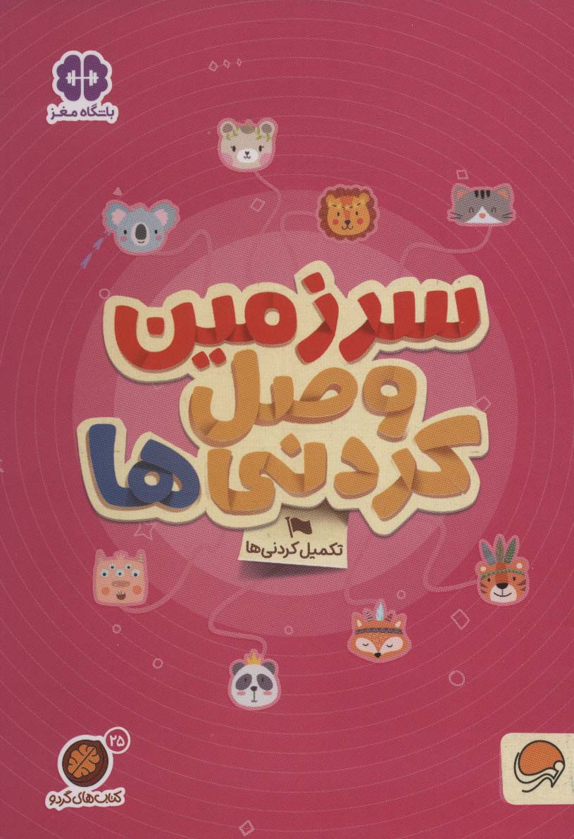 پایانه - های گردو 25