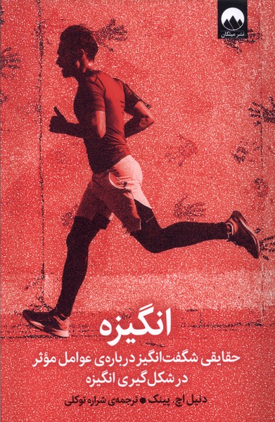 پایانه - انگیزه