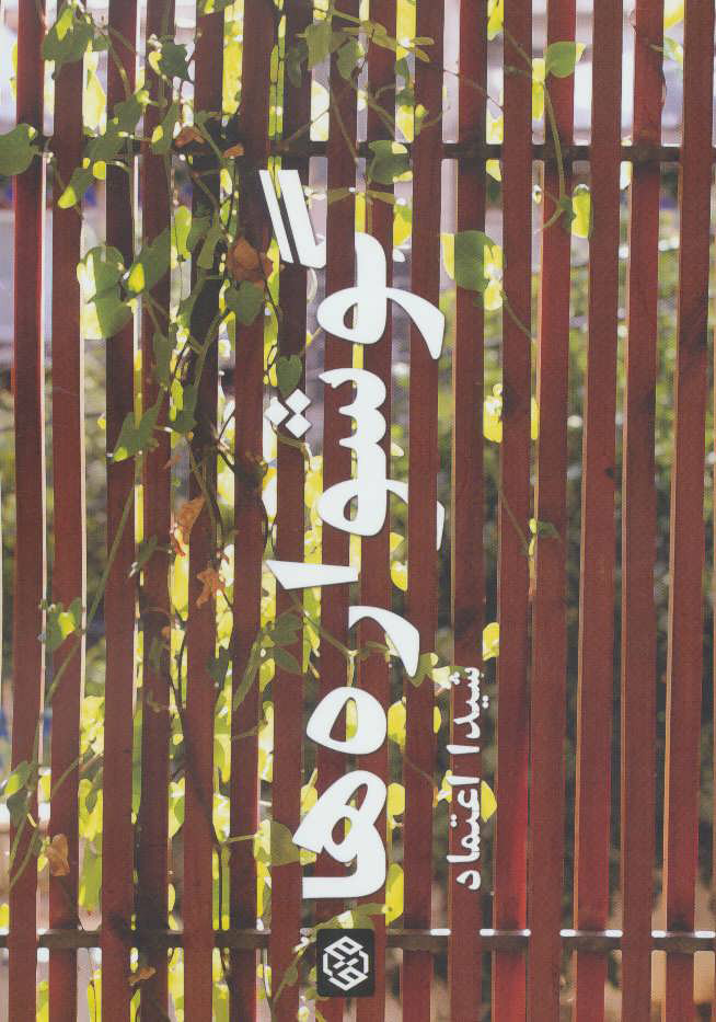 پایانه - گوشواره ها