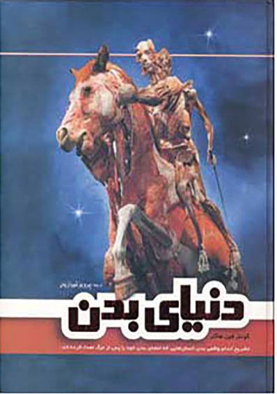 پایانه - دنیای بدن