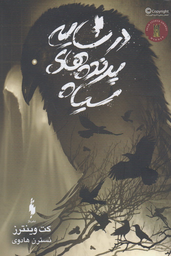 پایانه - در سایه ی پرنده های سیاه