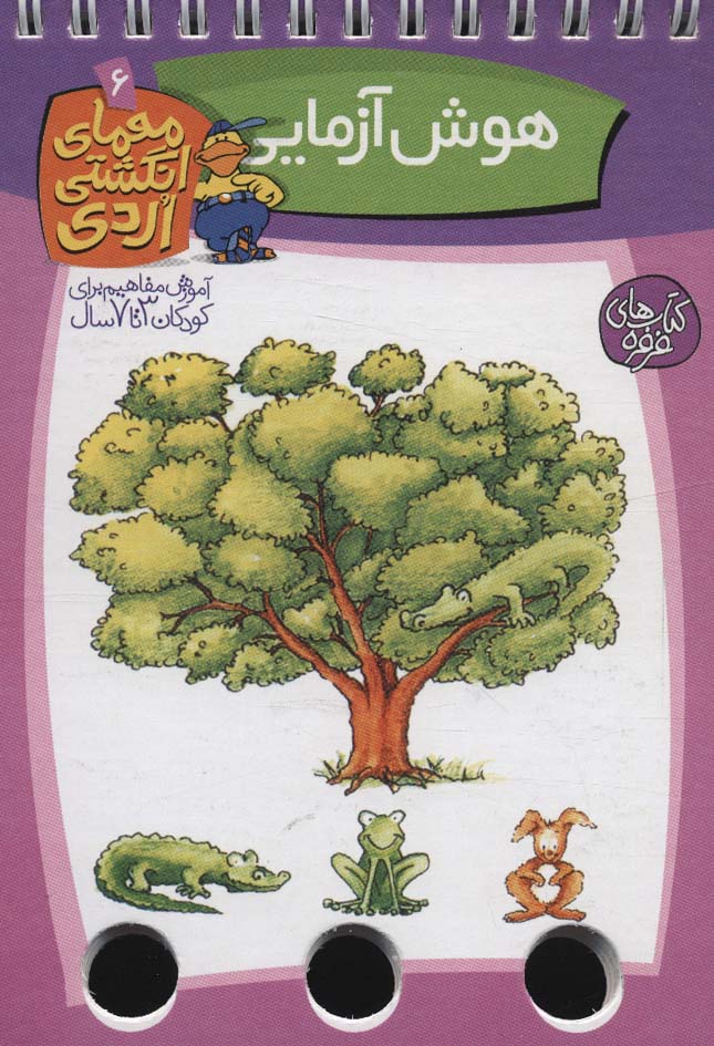 پایانه - هوش آزمایی