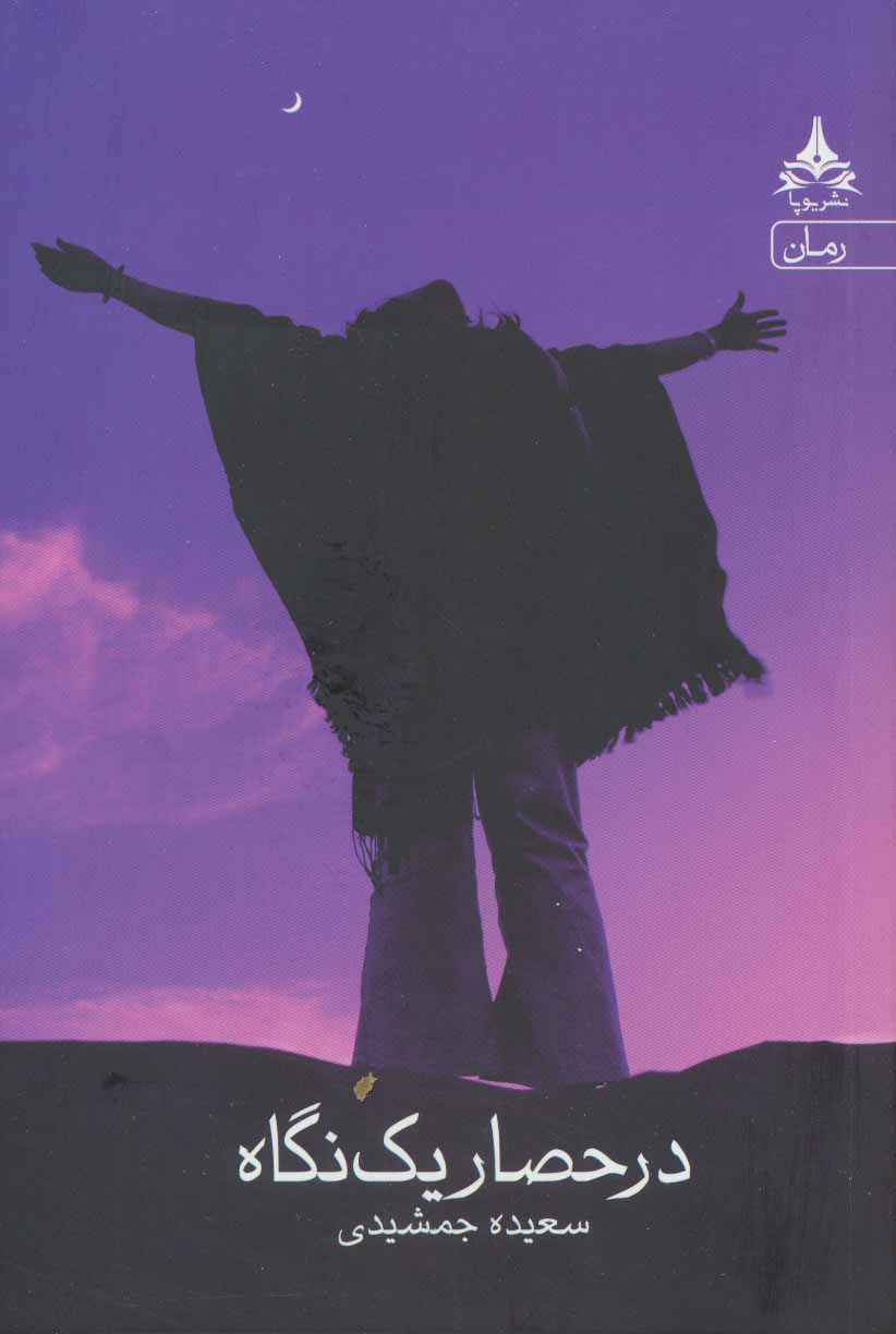 پایانه - در حصار یک نگاه