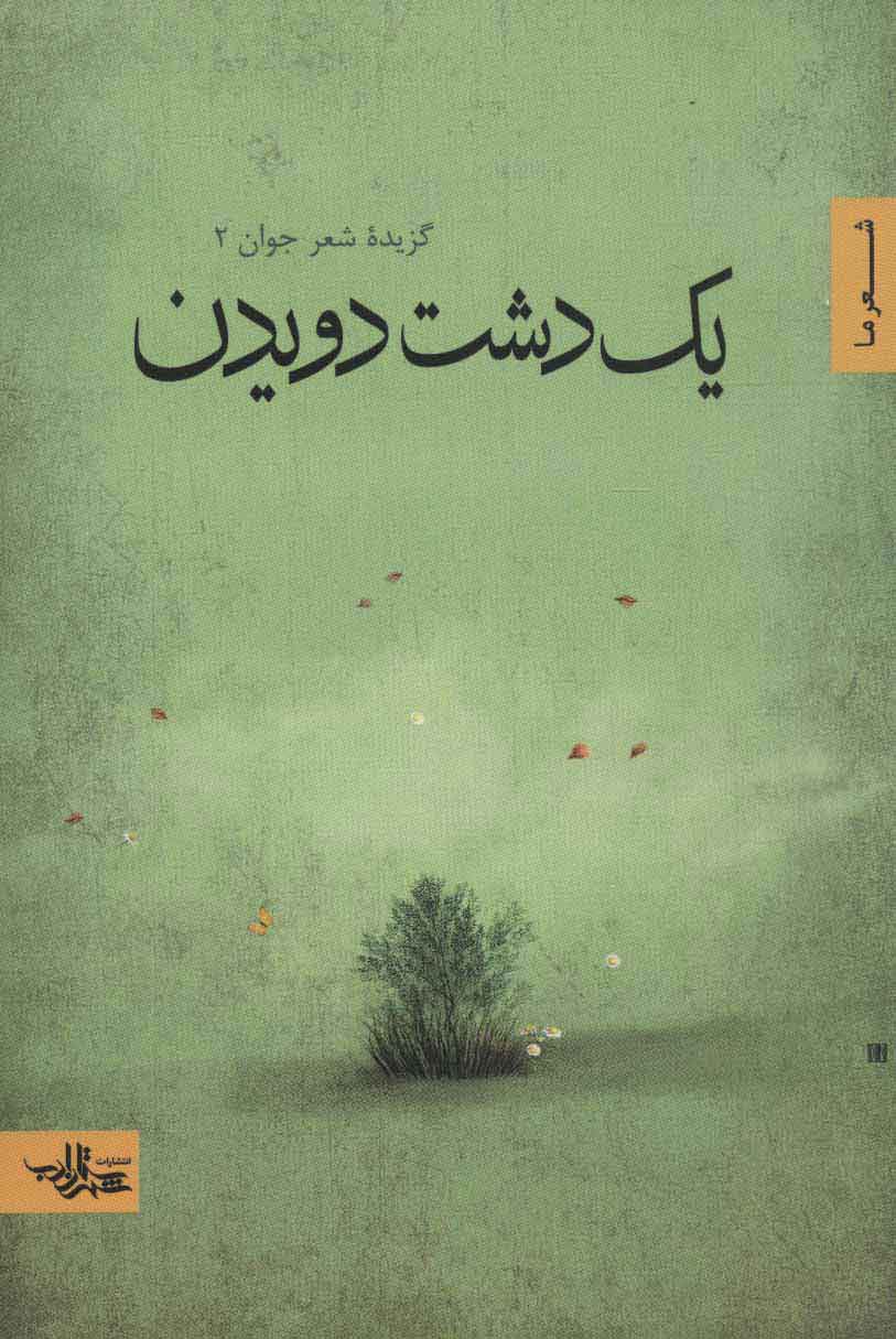 پایانه - یک دشت دویدن