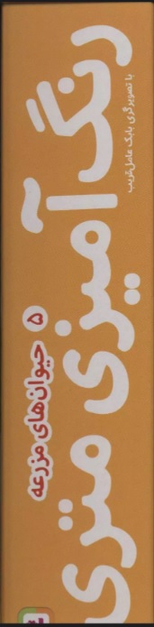 پایانه - رنگ آمیزی متری 5