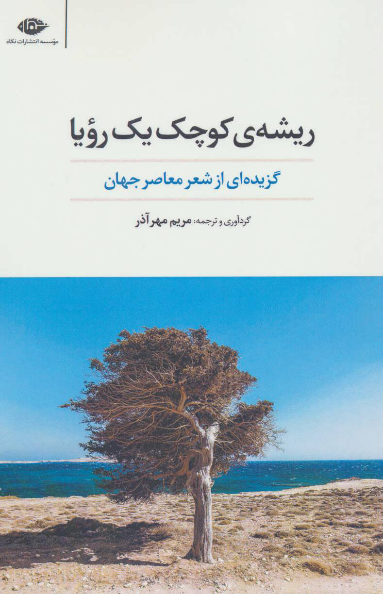 پایانه - ریشه ی کوچک یک رویا