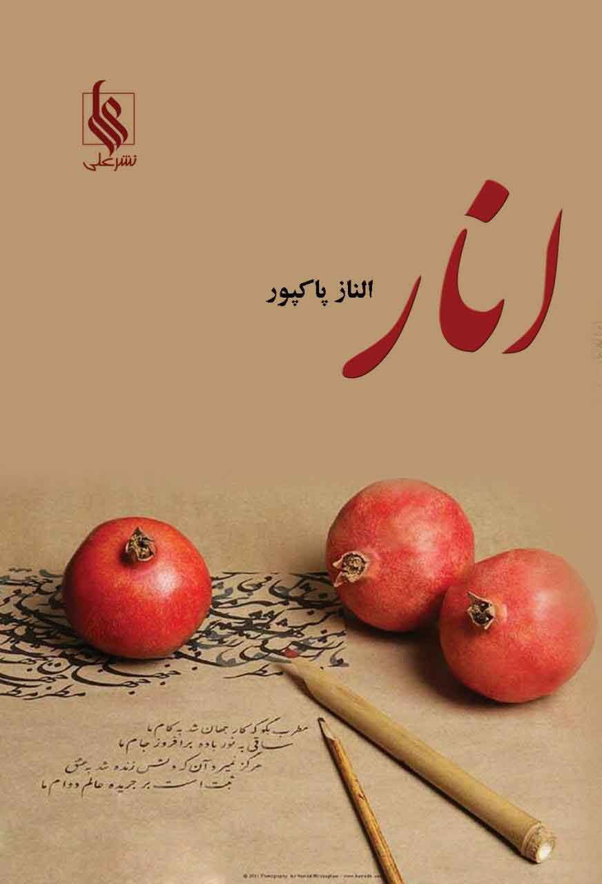 پایانه - انار