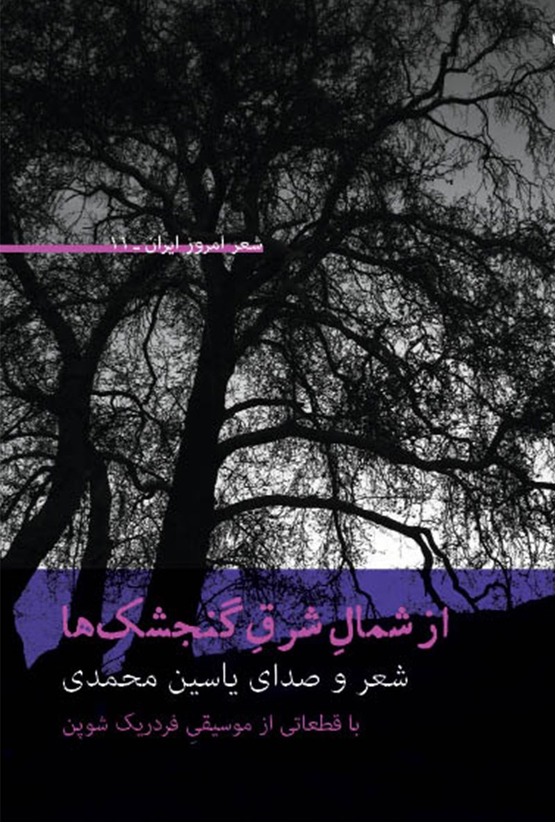 پایانه - از شمال شرق گنجشک ها