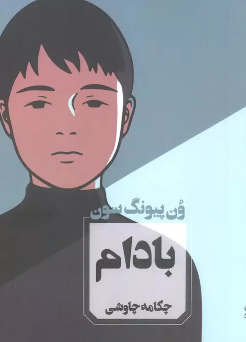 پایانه - بادام