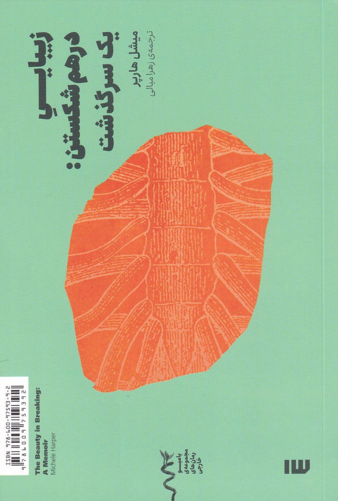 پایانه - زیبایی درهم شکستن