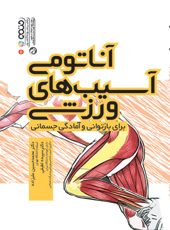 پایانه - آناتومی آسیبهای ورزشی