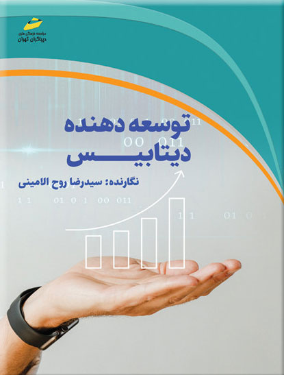 پایانه - توسعه دهنده دیتابیس