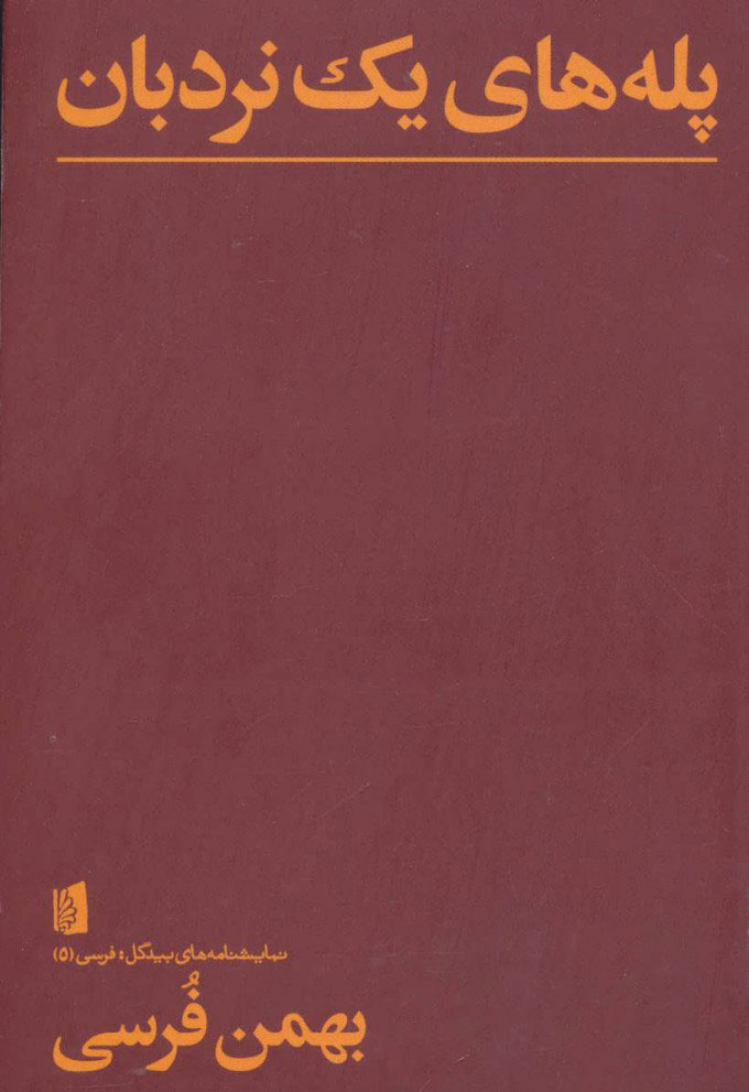 پایانه - پله های یک نردبان