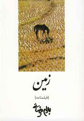 پایانه - زمین